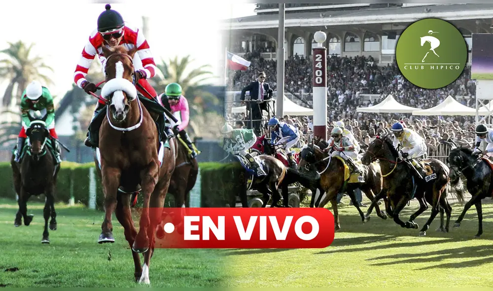 Juega y sigue los resultados de todas las carreras del Club Hípico Santiago EN VIVO GRATIS. ¿Te animas a apostar? Foto: composición LR/Club Hípico Santiago Juega y sigue los resultados de todas las carreras del Club Hípico Santiago EN VIVO GRATIS. ¿Te animas a apostar? Foto: composición LR/Club Hípico Santiago