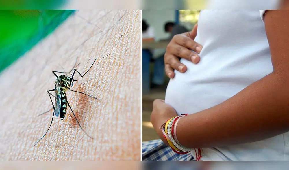 Durante una etapa de gestación más avanzada hay mayor riesgo. Foto: composición LR/Pixabay/Andina