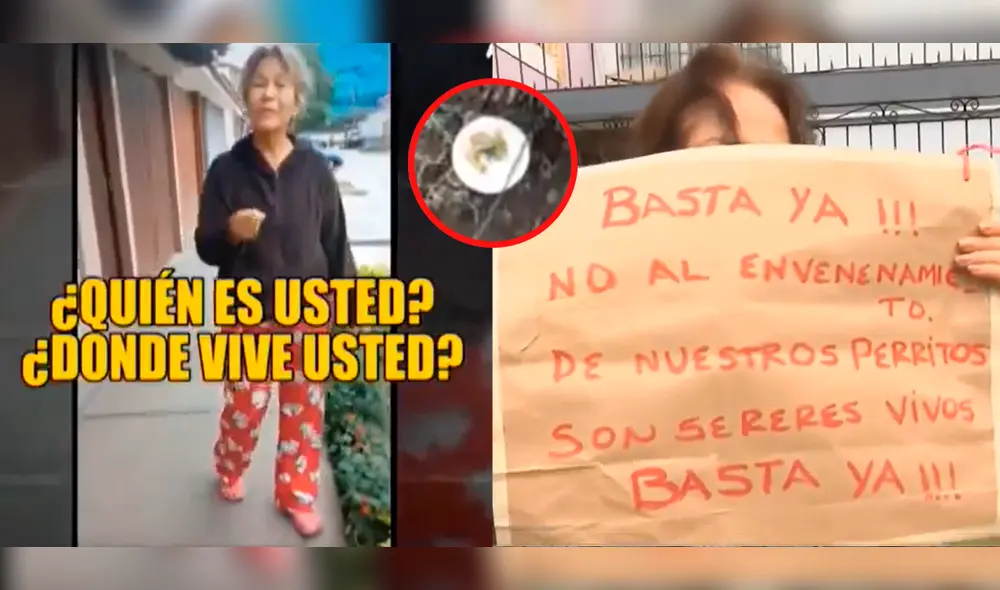 Uno de los residentes presentará una denuncia formal antes las autoridades en contra de la mujer por envenenar a las mascotas de la urbanización. Foto: composición LR/ATV/ATV - Video: ATV Uno de los residentes presentará una denuncia formal antes las autoridades en contra de la mujer por envenenar a las mascotas de la urbanización. Foto: composición LR/ATV/ATV - Video: ATV