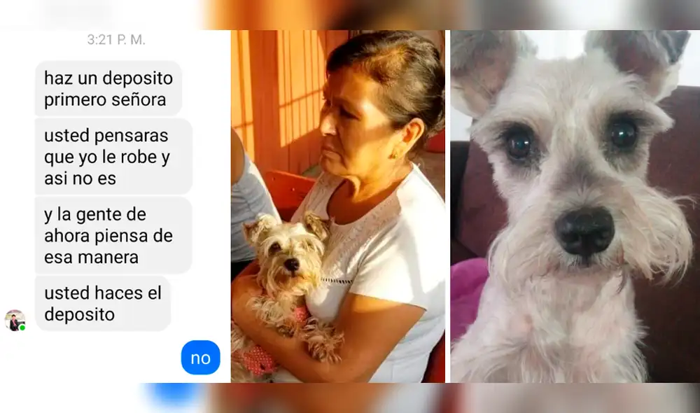 Luna se extravió el último viernes 19 de mayo cerca al centro comercial Real Plaza de Santa Clara, en Ate Vitarte. Foto: composición LR/La República Luna se extravió el último viernes 19 de mayo cerca al centro comercial Real Plaza de Santa Clara, en Ate Vitarte. Foto: composición LR/La República