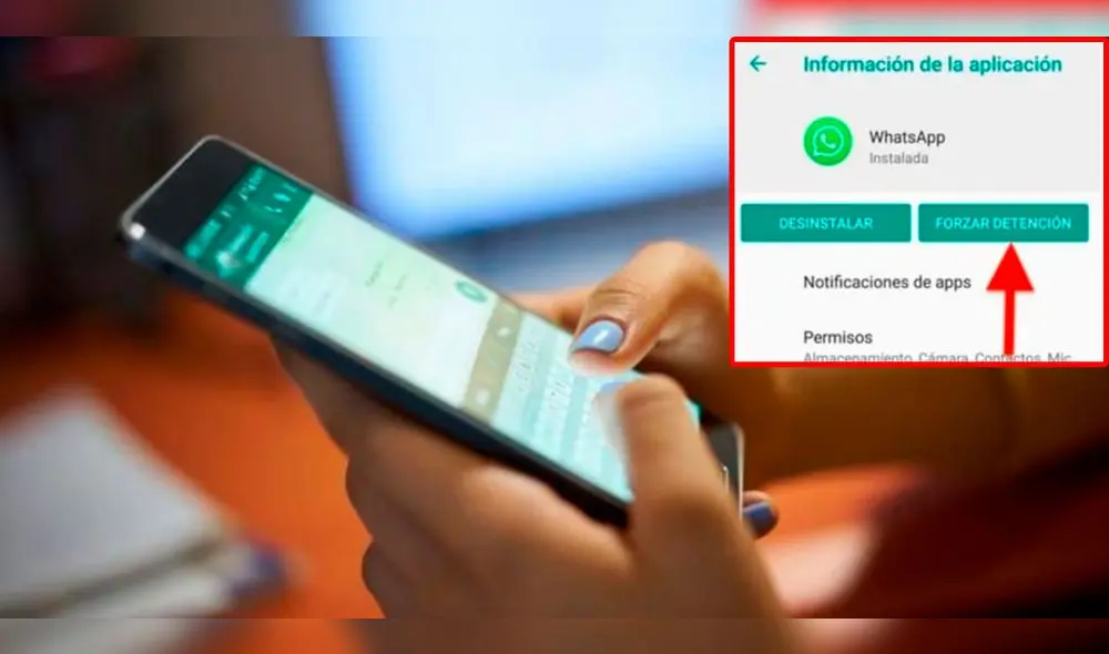 Esta función de WhatsApp está disponible en Android e iOS. Foto: composición LR/Expansión/Hola Telcel
