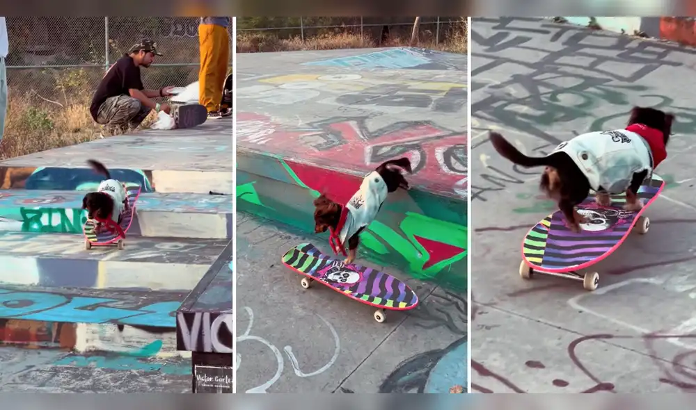 Usuarios se quedaron soprendidos tras ver al perrito sobre su patineta. Foto: composición LR/TikTok/@nicolasdelvalle