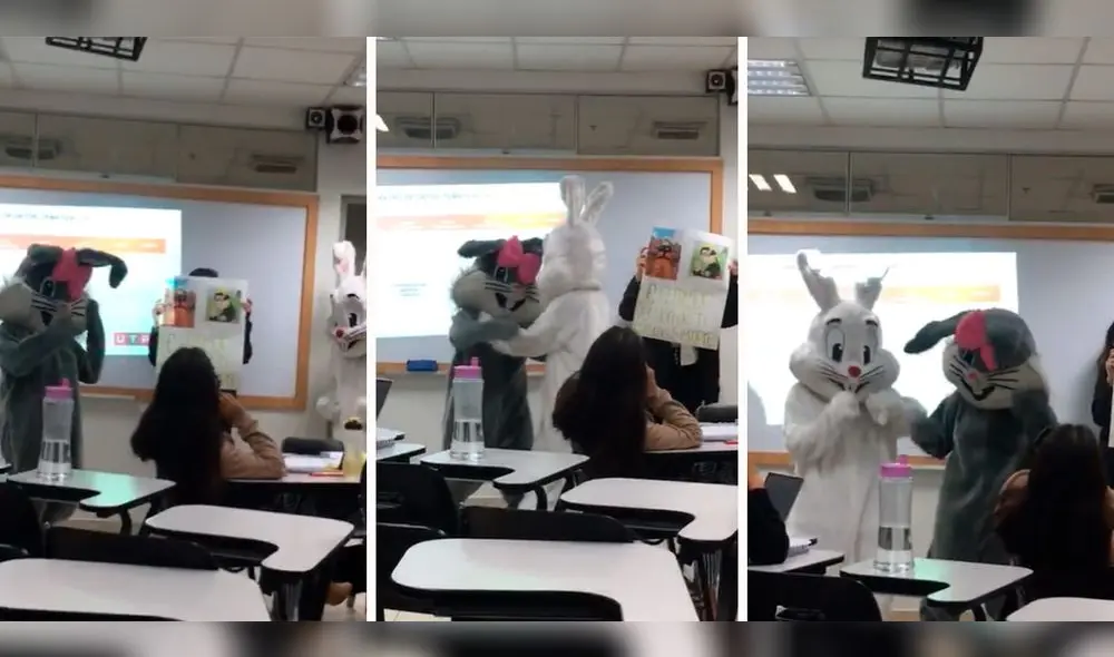 Las personas bajo el traje de conejos bailaron e hicieron pasar un momento divertido a los alumnos. Foto: composición LR/capturas de TikTok/@YumekitoPark Las personas bajo el traje de conejos bailaron e hicieron pasar un momento divertido a los alumnos. Foto: composición LR/capturas de TikTok/@YumekitoPark