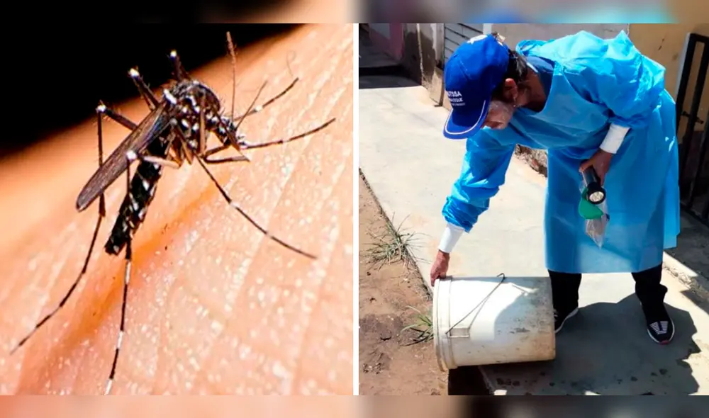 El alcalde de Ventanilla indicó que colocaron ovitampras en diferentes sectores para el control del dengue. Foto: Andina