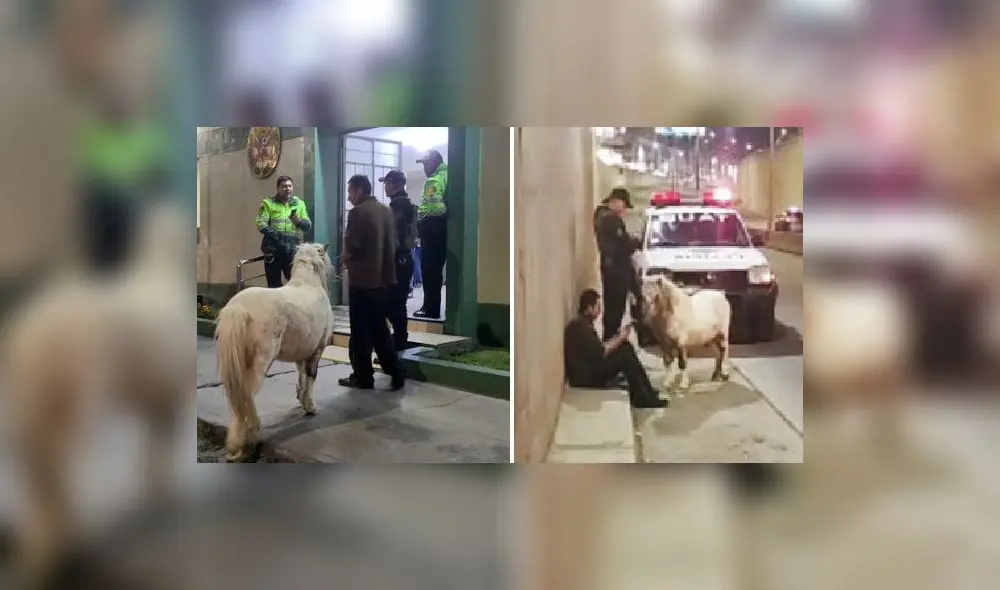 Poni fue llevado a la comisaría. Foto: Radio Yaraví Arequipa