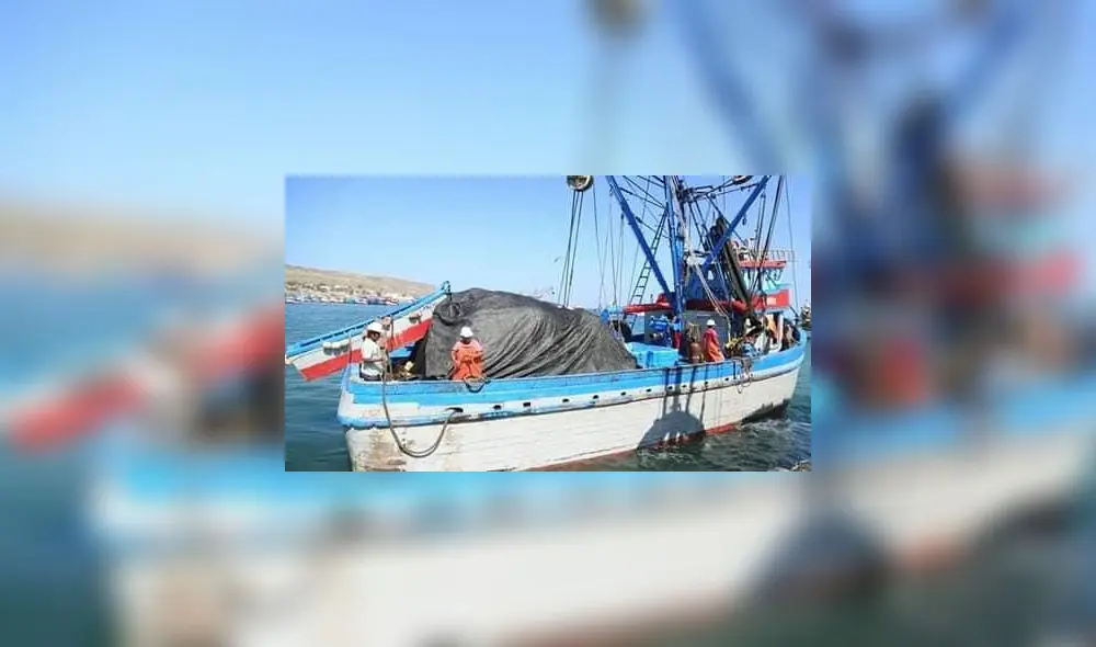 Los pescadores esperan resultados favorables de nueva investigación. Foto: difusión