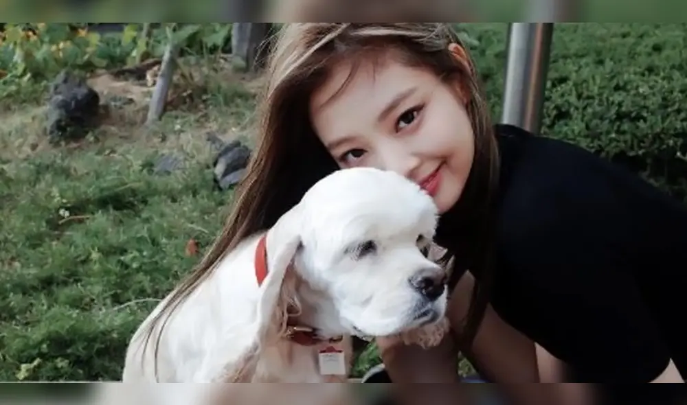 Kai, el primer perro de Jennie de BLACKPINK, tenía entre 12 a 13 años. Foto: composición LR/YG