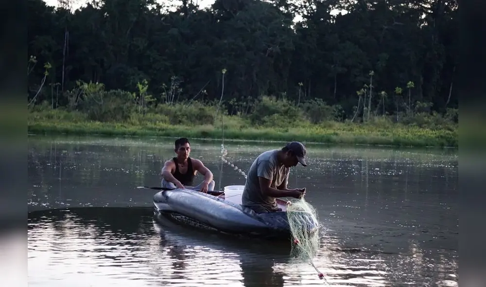 La región Madre de Dios es uno de los territorios peruanos con mayor potencial aurífero. Foto: CINCIA