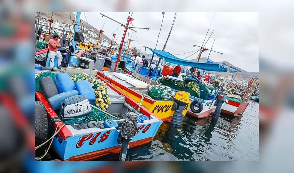 Fondepes. Al 2021, en el Perú habían más de 88.000 pescadores artesanales, según Produce. Foto: difusión Fondepes. Al 2021, en el Perú habían más de 88.000 pescadores artesanales, según Produce. Foto: difusión