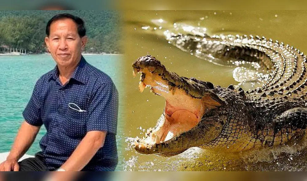 Descubre AQUÍ cómo sucedió la trágica muerte de Luan Nam por los reptiles. Foto: composición LR/The Telegraph/El Universo