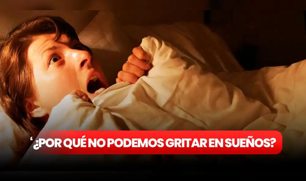 Durante la Fase REM del sueño sucede algo con nuestro cerebro que nos impide gritar. Foto: composición LR