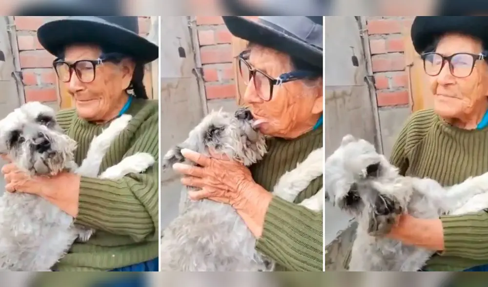 Encontraron a Raylu después de varios días de desaparecido. Foto: composición LR/TikTok/@engerderian Encontraron a Raylu después de varios días de desaparecido. Foto: composición LR/TikTok/@engerderian