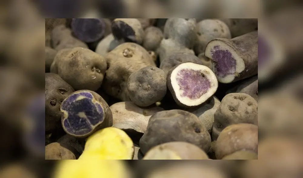 Despachos fueron de papa fritas en hojuelas y al hilo, seguidas de las frescas o refrigeradas. Foto: ADEX