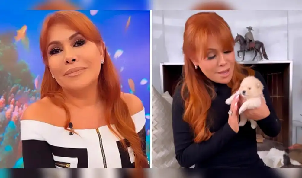 Magaly Medina cuenta más sobre los nuevos engreídos de su familia. Foto: composición LR/captura de Instagram/Magaly Medina