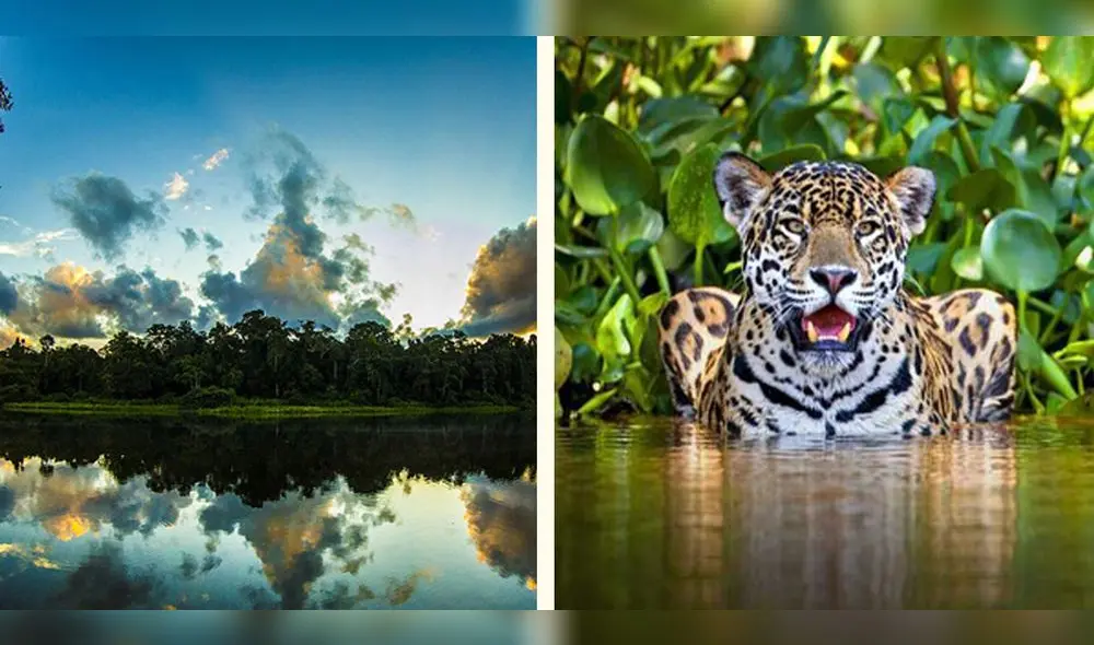 El Parque Nacional se fundó en 1973. Foto: Composición LR / Andina / Trip Advisor El Parque Nacional se fundó en 1973. Foto: Composición LR / Andina / Trip Advisor