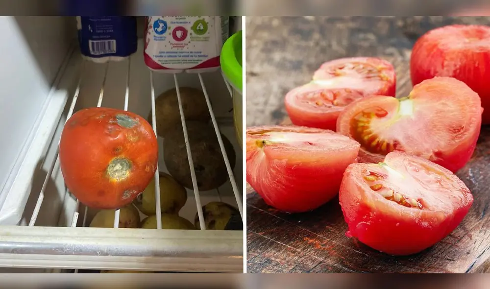 Los tomates son usados para la elaboración de diversos platos. Foto: composición LR/Directo al paladar