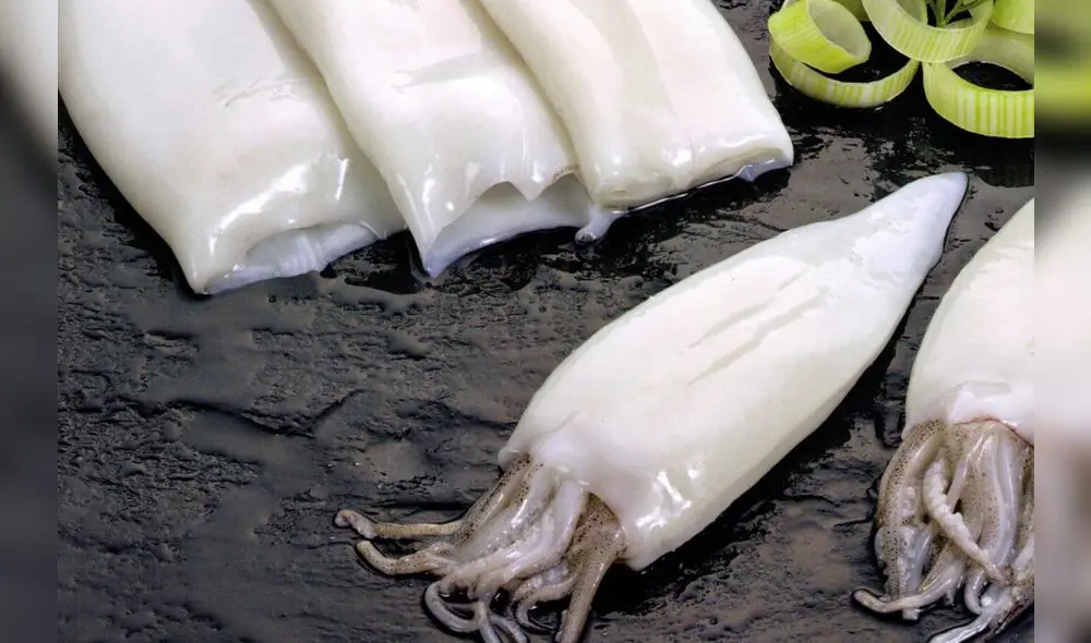 La pota es también uno de los productos más solicitados en las pesquerías de la capital peruana. Foto: difusión La pota es también uno de los productos más solicitados en las pesquerías de la capital peruana. Foto: difusión