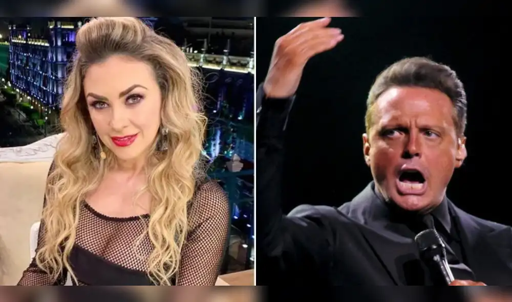 Luis Miguel y Aracely Arámbula se encuentran en disputa. Foto: composición LR/Hola/El Litoral - Video: Willax TV Luis Miguel y Aracely Arámbula se encuentran en disputa. Foto: composición LR/Hola/El Litoral - Video: Willax TV