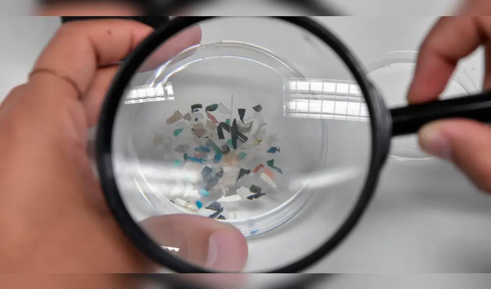 Los microplásticos son residuos que miden entre 0,1 y 5.000 micras, lo cual los hace visibles al ojo humano. Foto: AFP