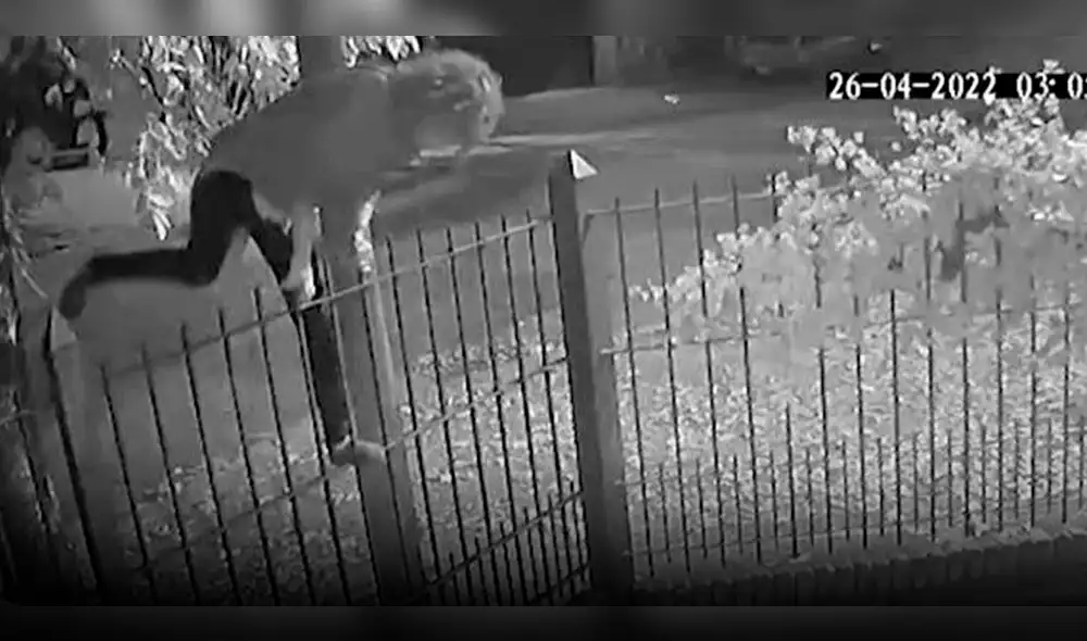 El hecho ocurrió en el Saltillo, México. Foto: TodoNoticias/referencial