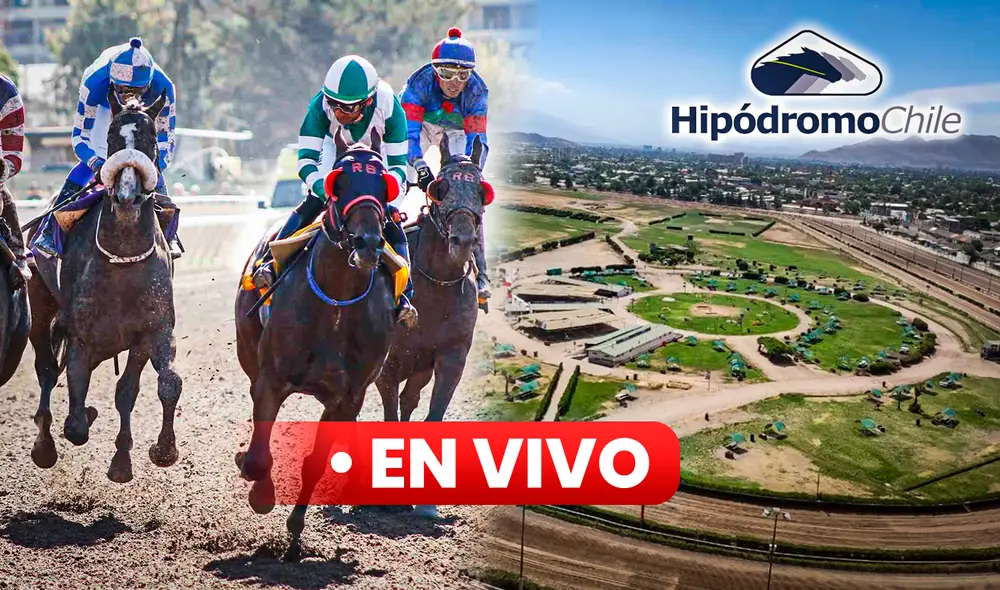 Mira la transmisión del Hipódromo Chile EN VIVO. La reunión de HOY, 1 de junio, promete ser una batalla hasta el último metro de la pista. Foto: composición LR/Hipódromo Chile/Estate at Home Mira la transmisión del Hipódromo Chile EN VIVO. La reunión de HOY, 1 de junio, promete ser una batalla hasta el último metro de la pista. Foto: composición LR/Hipódromo Chile/Estate at Home