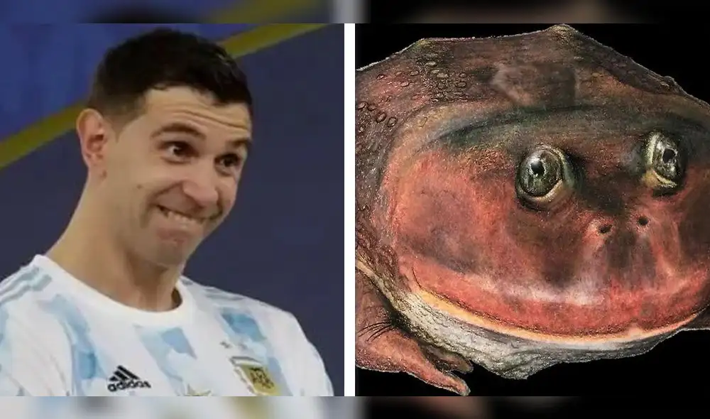 'Dibu' Martínez actualmente en portero del Aston Villa de la Premier League. Foto: composición LR