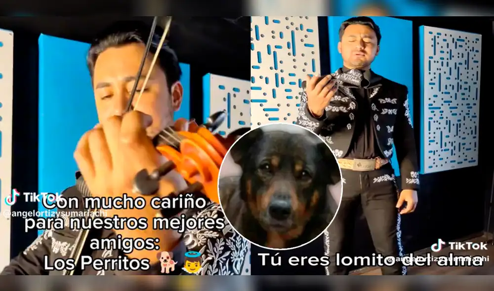 El hombre no dudó en componer una canción ante el desafortunado fin de Benito. Foto: composición LR/TikTok/@Angelortizysumariachi