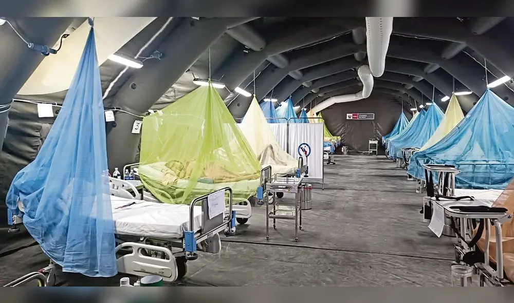 Viceministra Pardo aseguró que no se transmitirá el dengue a las regiones del Sur al no tener las condiciones para ello. Sin embargo, Ica es la tercera región con más muertes. Foto: difusión