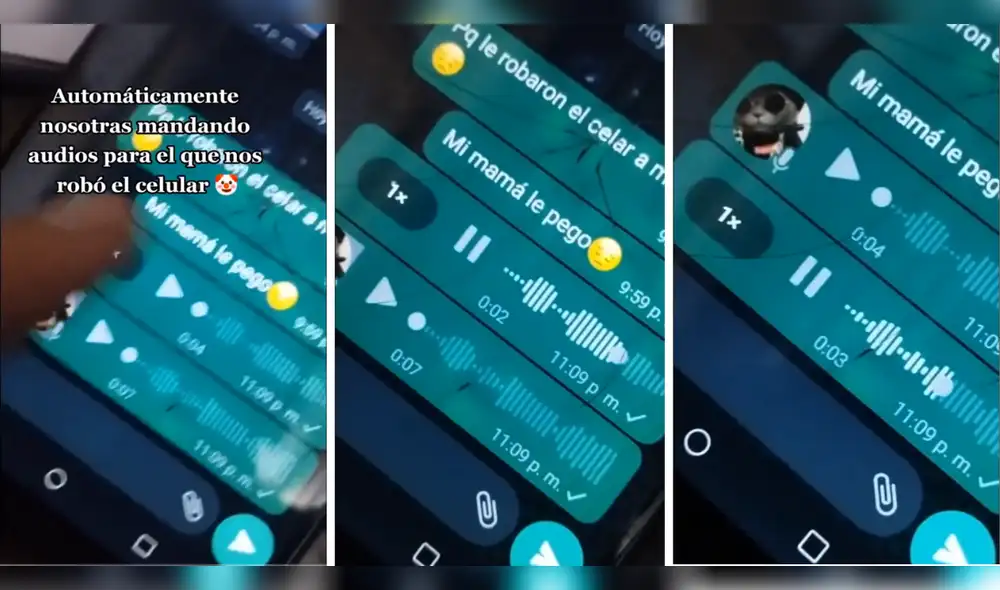 La situación causó revuelo en las redes sociales. Foto: composición LR/TikTok/@geraaaldine