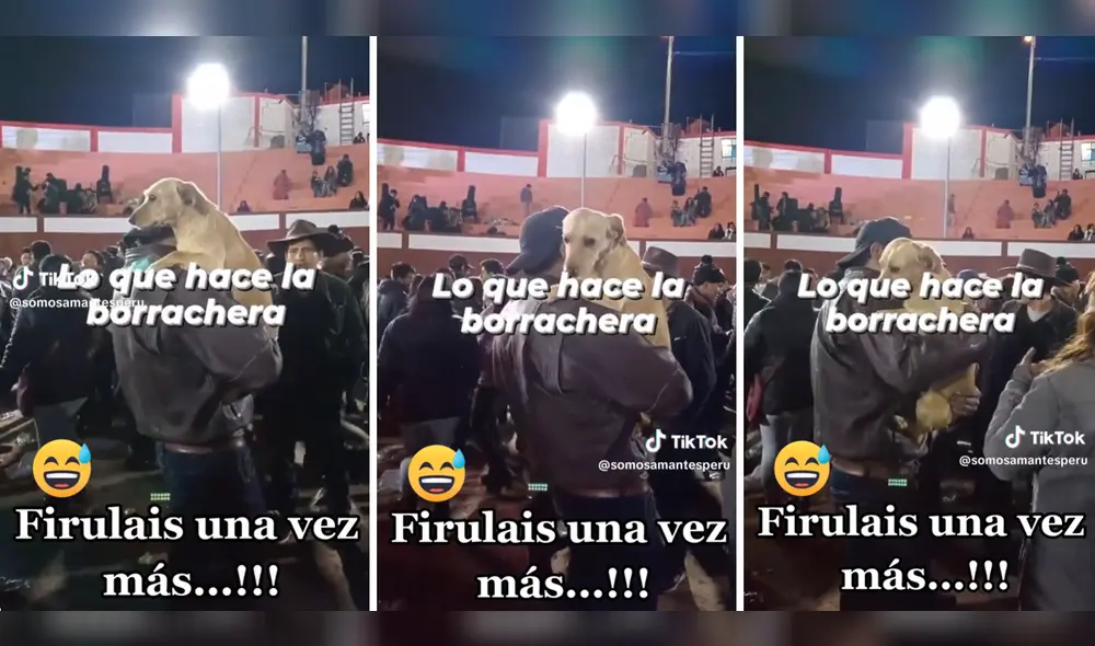 El video suma miles de reproducciones en la plataforma china. Foto: composición LR/TikTok/@somosamantesperu El video suma miles de reproducciones en la plataforma china. Foto: composición LR/TikTok/@somosamantesperu