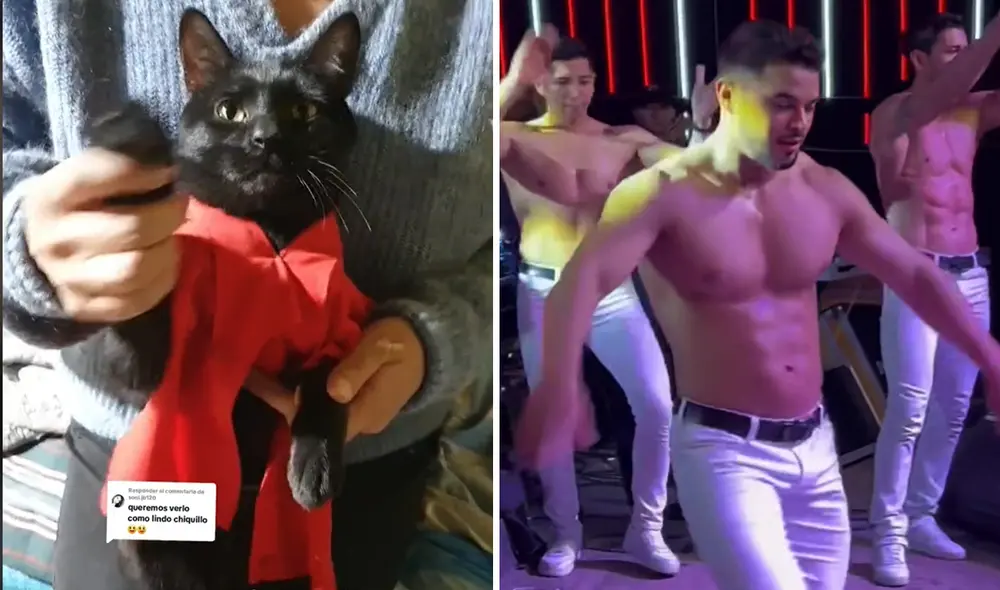 Video es viral en TikTok. Foto: composición LR/ captura TikTok/ Cumbia jujeña-Facebook Video es viral en TikTok. Foto: composición LR/ captura TikTok/ Cumbia jujeña-Facebook