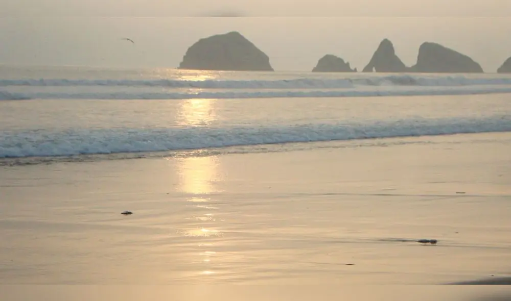 Pescador que sobrevivió pide ayuda para encontrar a su sobrino. Foto: Wikimedia Pescador que sobrevivió pide ayuda para encontrar a su sobrino. Foto: Wikimedia