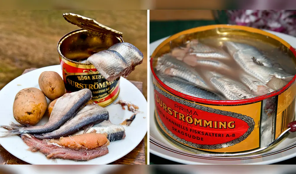 El 'Surströmming' es parte de la gastronomía sueca. Foto: composición LR / Embajada de Suecia en México - Video: El Hormiguero