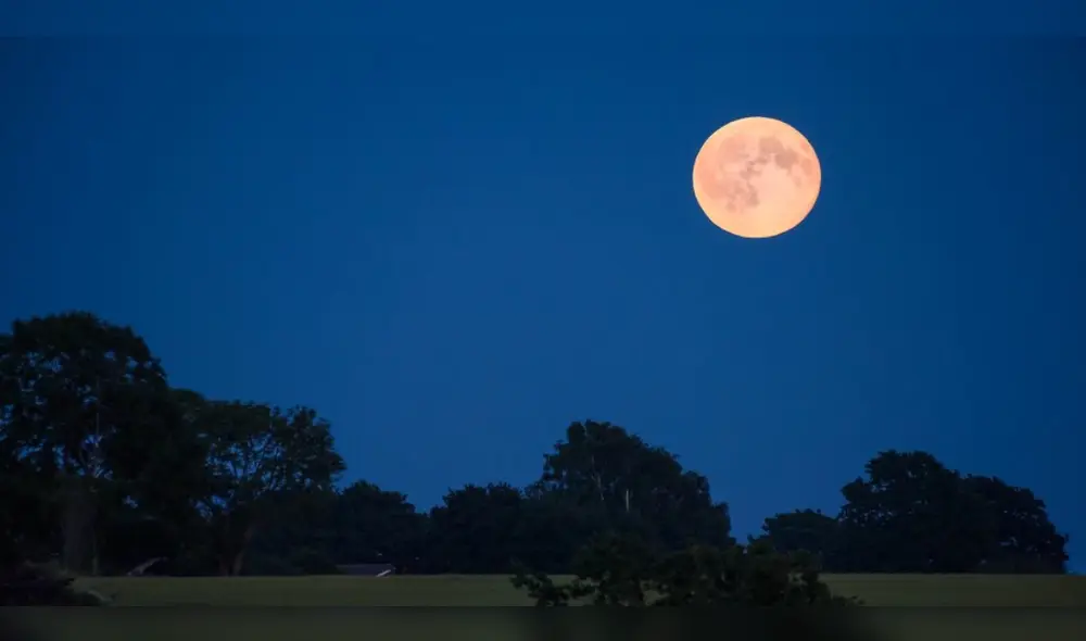 La luna de fresa es el nombre que recibe toda luna llena de junio. Foto: Twitter / @USDA La luna de fresa es el nombre que recibe toda luna llena de junio. Foto: Twitter / @USDA