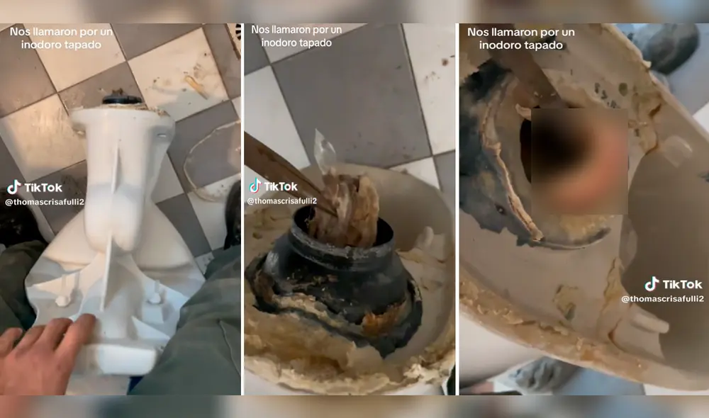Miles de usuarios tomaron con humor el gran hallazgo en el fondo del inodoro. Foto: composición LR/TikTok/@Thomascrisafulli2 Miles de usuarios tomaron con humor el gran hallazgo en el fondo del inodoro. Foto: composición LR/TikTok/@Thomascrisafulli2