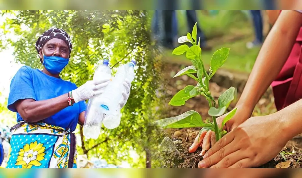 Conoce por qué se conmemora este 5 junio el Día Mundial del Medio Ambiente. Foto: composición LR/UNEP