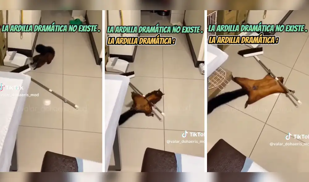 El video de la ardilla cuenta con más de 8,2 millones de reproducciones. Foto: composición LR/TikTok/@valar_dohaeris_mod El video de la ardilla cuenta con más de 8,2 millones de reproducciones. Foto: composición LR/TikTok/@valar_dohaeris_mod