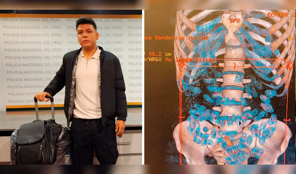 Un burrier puede llevar hasta 120 cápsulas alojadas en sus intestinos. Foto: composición LR/PNP/PNP
