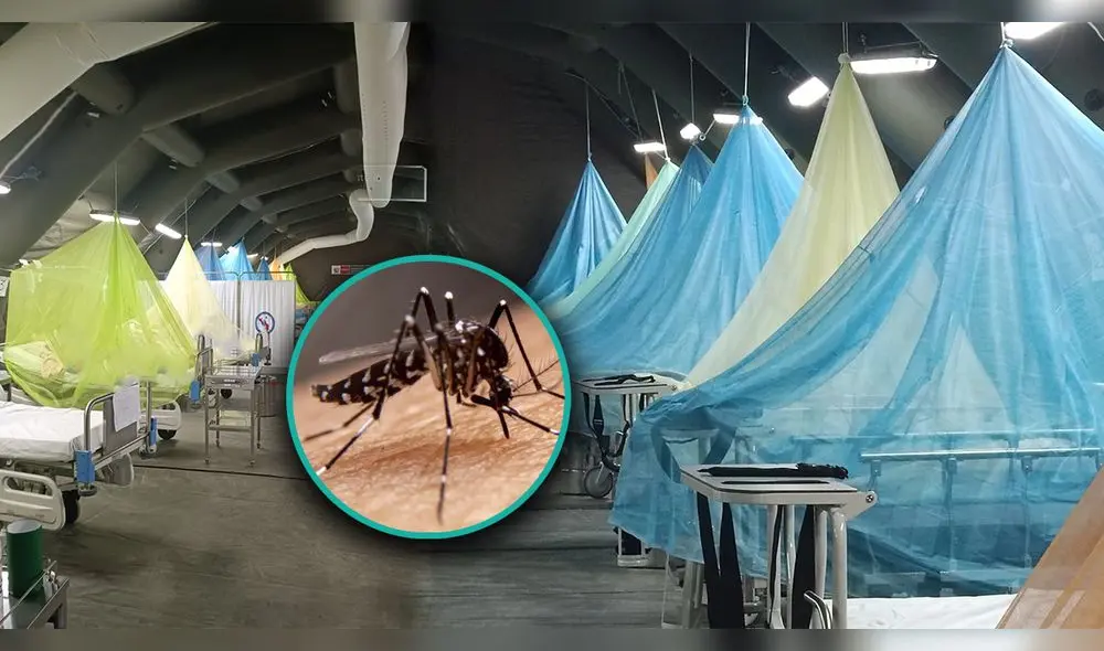 Casos de fallecidos por dengue en Piura se siguen incrementando. Foto: La República