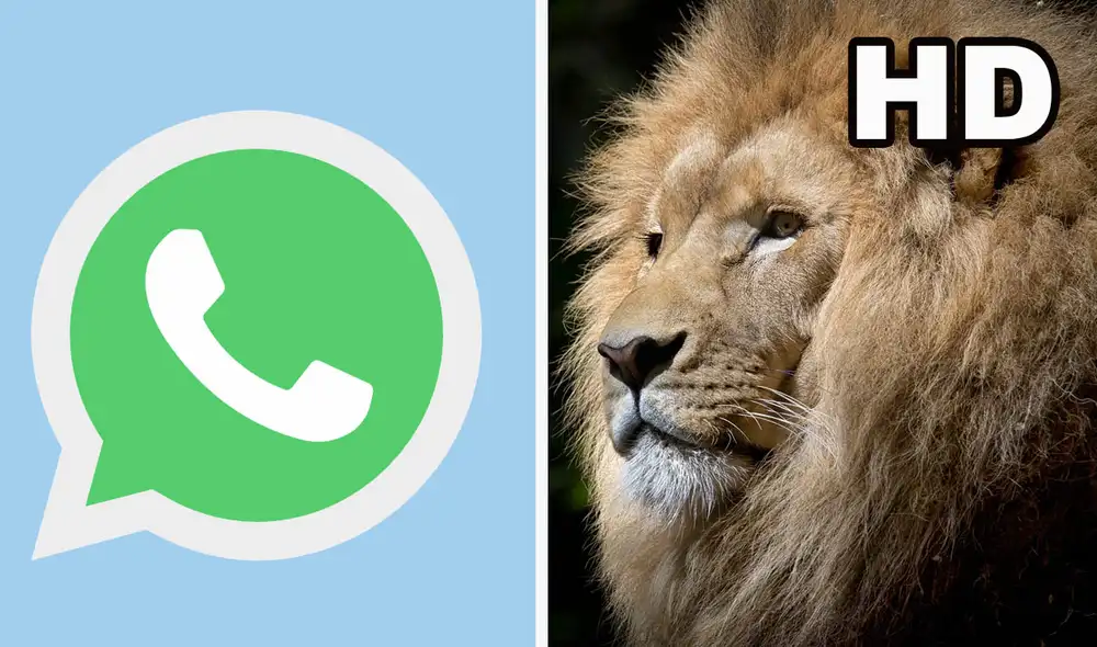 Esta función de WhatsApp llegará pronto a todos los usuarios. Foto: composición Flaticon/Pexels