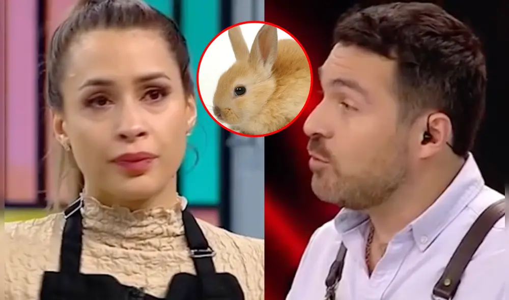 Milett Figueroa revela que tuvo un conejo de mascota en su infancia. Foto: composición LR/Latina - Video: Latina