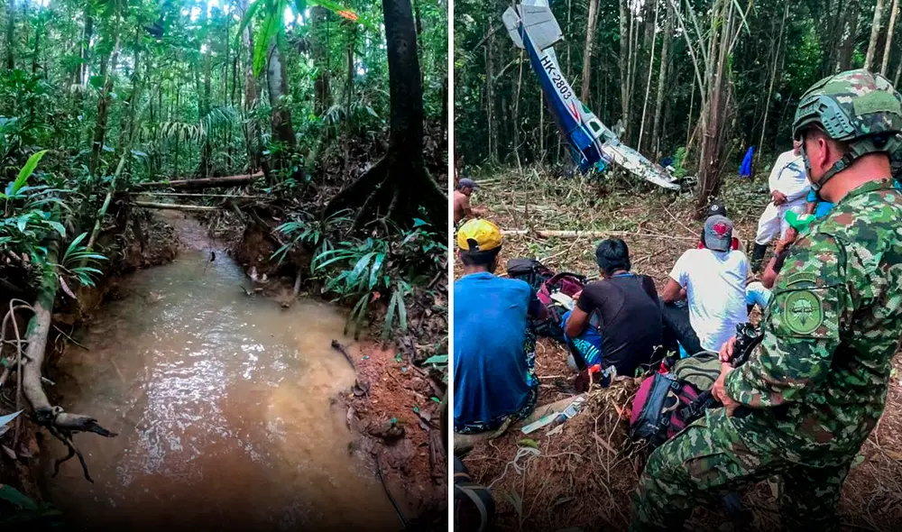 Los menores están perdidos desde el 1 de mayo, cuando se accidentó el avión Cessna 206 en el que viajaban. Foto: composición LR/Ejército de Colombia