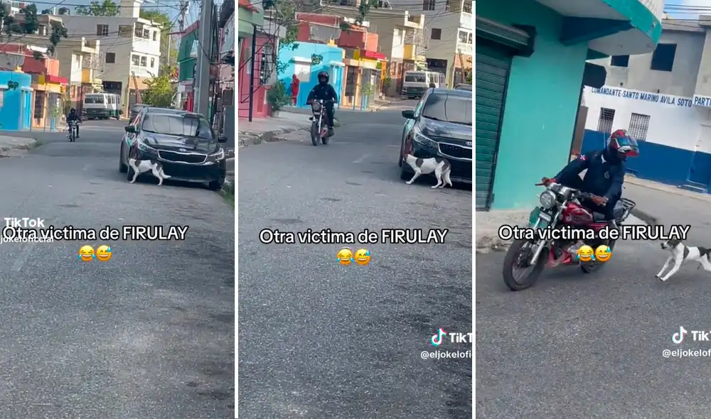 Los cibernautas se sorprendieron ante la estrategia del perrito para asustar a las personas. Foto: composición LR / capturas de TikTok / @Eljokeloficial