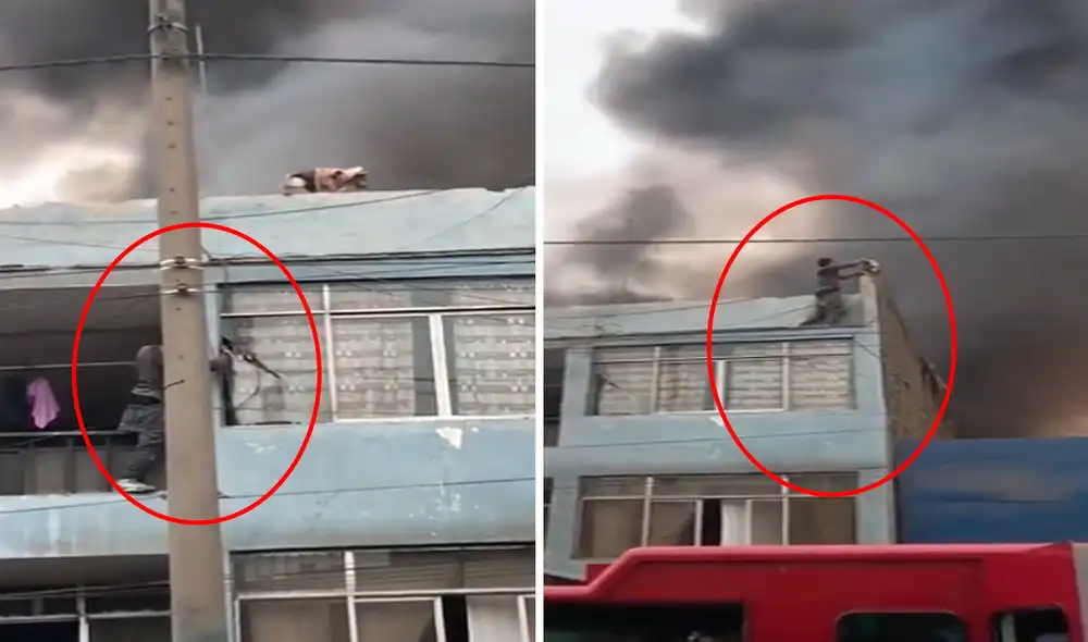 El ciudadano se convirtió en un héroe tras salvar a los animales. Foto: captura / Twitter.