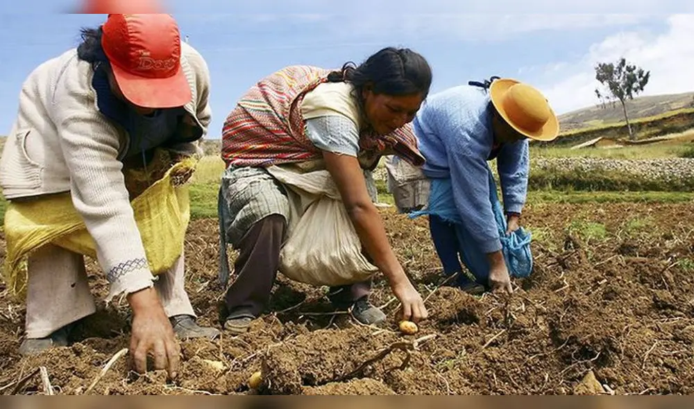 SEQUÍA. Es un escenario posible en las regiones del sur. Foto: La República SEQUÍA. Es un escenario posible en las regiones del sur. Foto: La República
