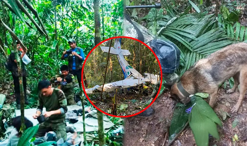 La operación Esperanza inició tras conocerse el accidente aéreo del 1 de mayo, en el cual tres adultos murieron. Foto: composición LR/AFP/Infobae - Video: El País La operación Esperanza inició tras conocerse el accidente aéreo del 1 de mayo, en el cual tres adultos murieron. Foto: composición LR/AFP/Infobae - Video: El País