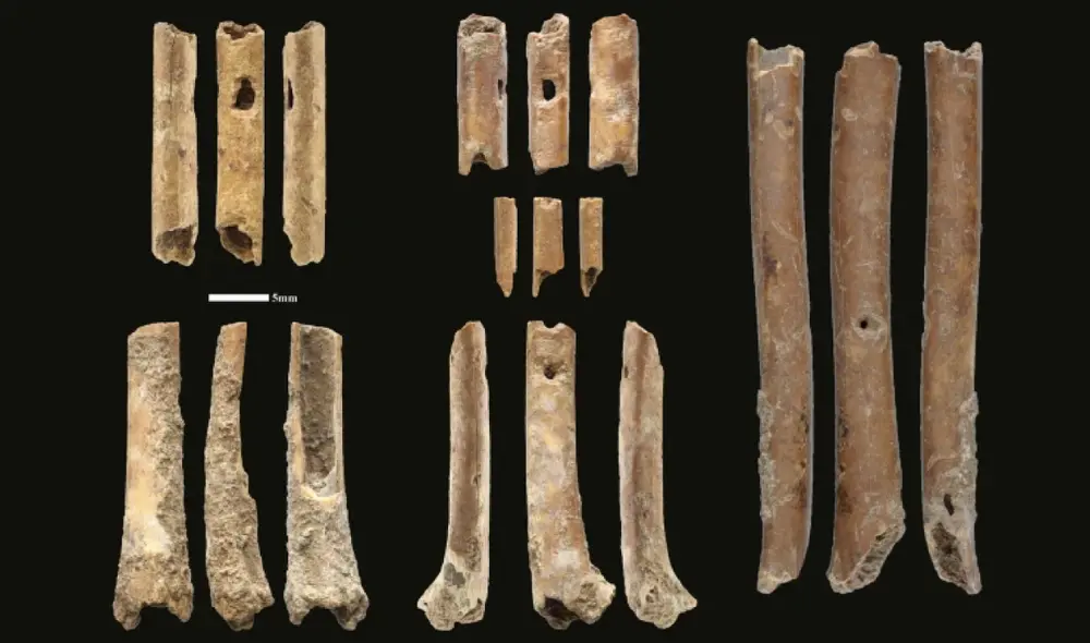 Podría tratarse de las flautas más antiguas del mundo. Foto: Scientific Reports Podría tratarse de las flautas más antiguas del mundo. Foto: Scientific Reports