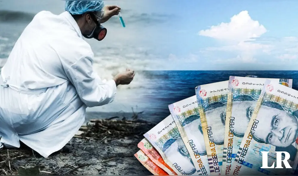 Esta es la cantidad que percibe un profesional dedicado a la biología marina. Foto: composición de Fabrizio Oviedo/La República/difusión/Andina Esta es la cantidad que percibe un profesional dedicado a la biología marina. Foto: composición de Fabrizio Oviedo/La República/difusión/Andina