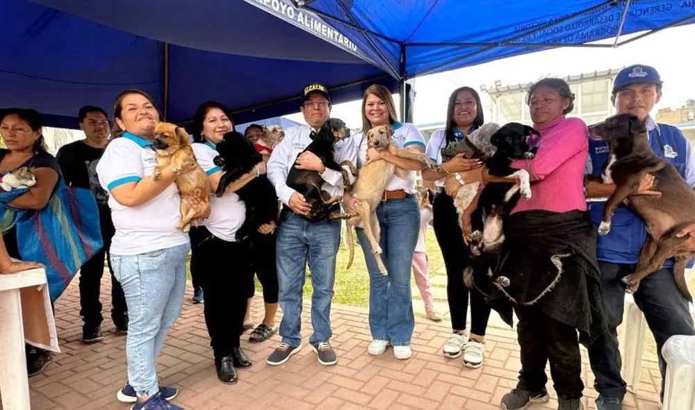 Los 27 perritos fueron rescatados por el ciudadano colombiano Sebastian Arias. Foto: Andina Los 27 perritos fueron rescatados por el ciudadano colombiano Sebastian Arias. Foto: Andina