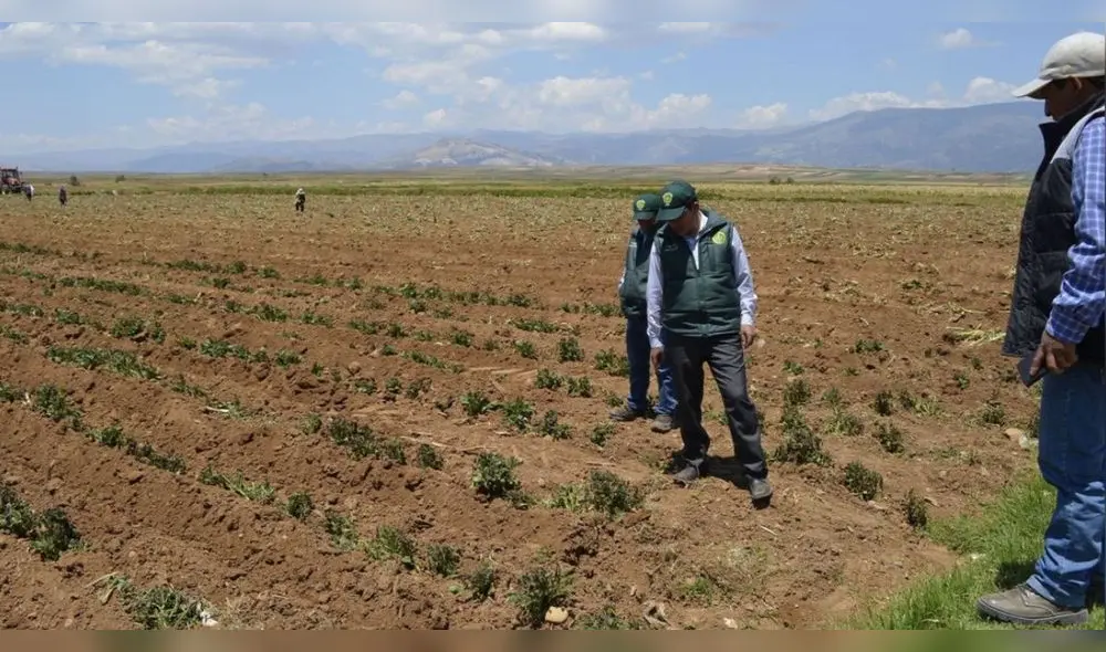 Senamhi pronostica que nuevamente habrá ausencia de lluvias en Puno. Foto: La República